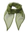 PR740 Premier 'Colours' Chiffon Scarf Oasis Green colour image